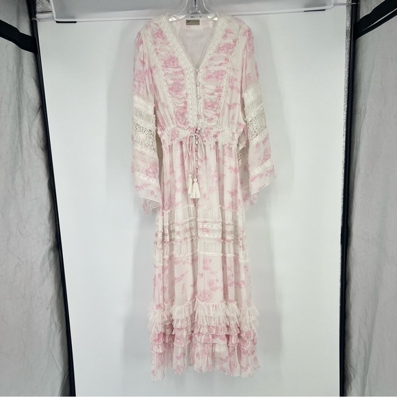 FillyBoo Charm Your Way Ruched Cottagecore Maxi Dress Gown in Sunday Pink Large - Picture 3 of 12